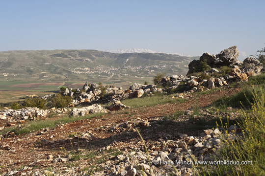 Bekaa-Tal Blick auf Anitilibanon und Hermon