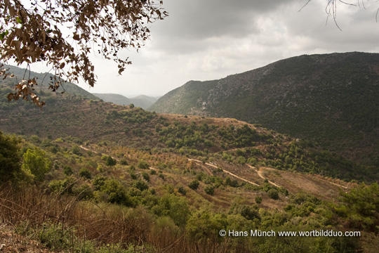 Berge bei Jezzine