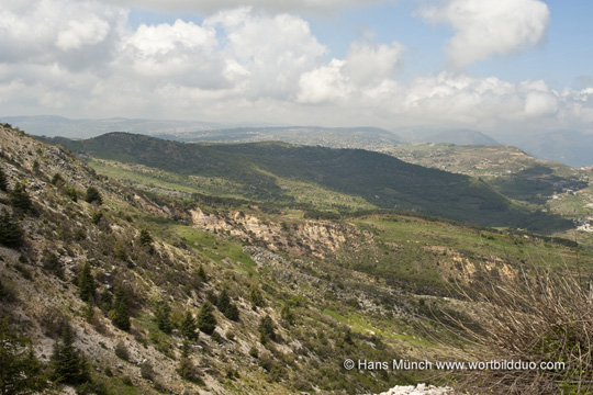 Al-Shouf Reservat Westseite