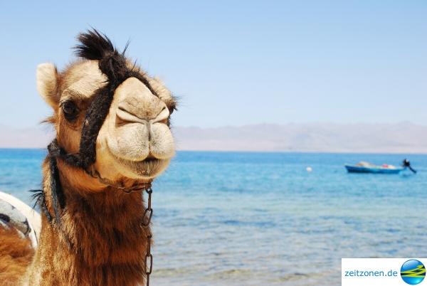 Was kostet cialis in ägypten